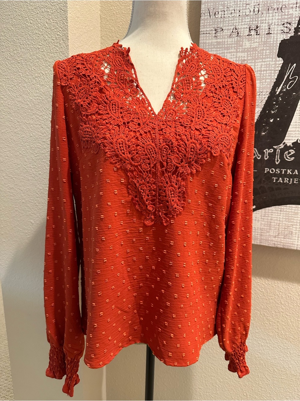 Women’s Crochet Yoke Long-Sleeve Top - Rust